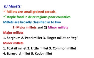 b) Millets:
Millets are small grained cereals,
staple food in drier regions poor countries
Millets are broadly classified in to two
1) Major millets and 2) Minor millets
Major millets
1. Sorghum 2. Pearl millet 3. Finger millet or Ragi -
Minor millets
1. Foxtail millet 2. Little millet 3. Common millet
4. Barnyard millet 5. Kodo millet
 