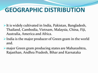 GEOGRAPHIC DISTRIBUTION
It is widely cultivated in India, Pakistan, Bangladesh,
Thailand, Cambodia, Vietnam, Malaysia, China, Fiji,
Australia, America and Africa.
India is the major producer of Green gram in the world
and.
major Green gram producing states are Maharashtra,
Rajasthan, Andhra Pradesh, Bihar and Karnataka
 