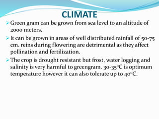 CLIMATE
Green gram can be grown from sea level to an altitude of
2000 meters.
It can be grown in areas of well distributed rainfall of 50-75
cm. reins during flowering are detrimental as they affect
pollination and fertilization.
The crop is drought resistant but frost, water logging and
salinity is very harmful to greengram. 30-350C is optimum
temperature however it can also tolerate up to 400C.
 