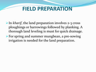 FIELD PREPARATION
In kharif, the land preparation involves 2-3 cross
ploughings or harrowings followed by planking. A
thorough land leveling is must for quick drainage.
For spring and summer mungbean, a pre-sowing
irrigation is needed for the land preparation.
 