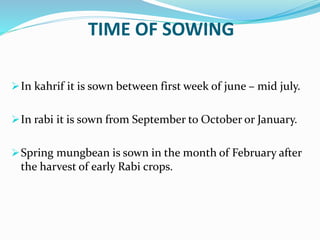 TIME OF SOWING
In kahrif it is sown between first week of june – mid july.
In rabi it is sown from September to October or January.
Spring mungbean is sown in the month of February after
the harvest of early Rabi crops.
 