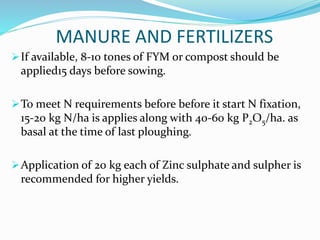 MANURE AND FERTILIZERS
If available, 8-10 tones of FYM or compost should be
applied15 days before sowing.
To meet N requirements before before it start N fixation,
15-20 kg N/ha is applies along with 40-60 kg P2O5/ha. as
basal at the time of last ploughing.
Application of 20 kg each of Zinc sulphate and sulpher is
recommended for higher yields.
 