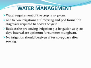 WATER MANAGEMENT
Water requirement of the crop is 15-30 cm.
one to two irrigations at flowering and pod formation
stages are required to boost the yield.
Besides the pre sowing irrigation 3-4 irrigation at 15-20
days interval are optimum for summer mungbean.
No irrigation should be given af ter 40-45 days after
sowing.
 