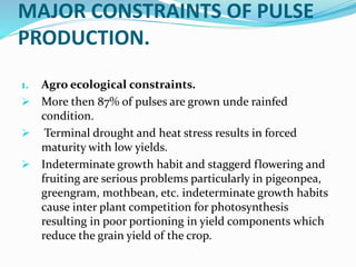 MAJOR CONSTRAINTS OF PULSE
PRODUCTION.
1. Agro ecological constraints.
 More then 87% of pulses are grown unde rainfed
condition.
 Terminal drought and heat stress results in forced
maturity with low yields.
 Indeterminate growth habit and staggerd flowering and
fruiting are serious problems particularly in pigeonpea,
greengram, mothbean, etc. indeterminate growth habits
cause inter plant competition for photosynthesis
resulting in poor portioning in yield components which
reduce the grain yield of the crop.
 