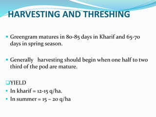 HARVESTING AND THRESHING
 Greengram matures in 80-85 days in Kharif and 65-70
days in spring season.
 Generally harvesting should begin when one half to two
third of the pod are mature.
YIELD
 In kharif = 12-15 q/ha.
 In summer = 15 – 20 q/ha
 