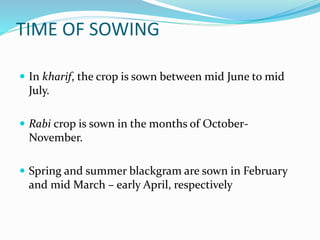 TIME OF SOWING
 In kharif, the crop is sown between mid June to mid
July.
 Rabi crop is sown in the months of October-
November.
 Spring and summer blackgram are sown in February
and mid March – early April, respectively
 