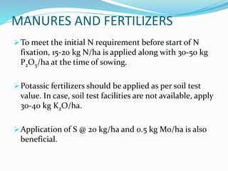 MANURES AND FERTILIZERS
To meet the initial N requirement before start of N
fixation, 15-20 kg N/ha is applied along with 30-50 kg
P2O5/ha at the time of sowing.
Potassic fertilizers should be applied as per soil test
value. In case, soil test facilities are not available, apply
30-40 kg K2O/ha.
Application of S @ 20 kg/ha and 0.5 kg Mo/ha is also
beneficial.
 
