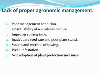 Lack of proper agronomic management.
1. Poor management condition.
2. Unavailability of Rhizobium culture.
3. Improper sowing time.
4. Inadequate seed rate and poor plant stand.
5. System and method of sowing.
6. Weed infestation.
7. Non adoption of plant protection measures.
 