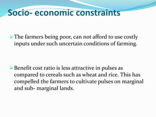 Socio- economic constraints
The farmers being poor, can not afford to use costly
inputs under such uncertain conditions of farming.
Benefit cost ratio is less attractive in pulses as
compared to cereals such as wheat and rice. This has
compelled the farmers to cultivate pulses on marginal
and sub- marginal lands.
 
