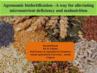 Agronomic biofortification –A way for alleviating
micronutrient deficiency and malnutrition
Bornali Borah
Ph. D. Scholar
(Soil Science & Agricultural Chemistry)
Anand Agricultural University, Anand,
Gujarat
 