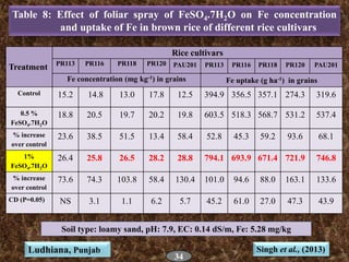 Treatment
Rice cultivars
PR113 PR116 PR118 PR120 PAU201 PR113 PR116 PR118 PR120 PAU201
Fe concentration (mg kg-1) in grain...