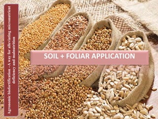 SOIL + FOLIAR APPLICATION
Agronomicbiofortification–Awayforalleviatingmicronutrient
deficiencyandmalnutrition
41
 
