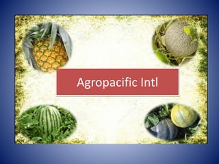Agropacific Intl 
 