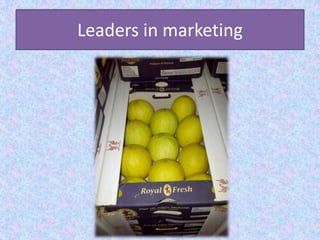 Leaders in marketing