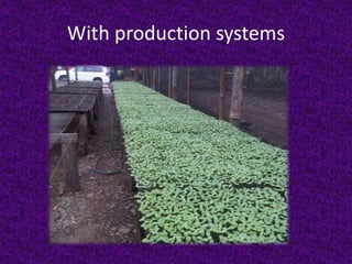 With production systems