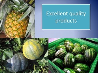 Excellent quality
products