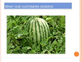 WHAT OUR CUSTOMERS DESERVE