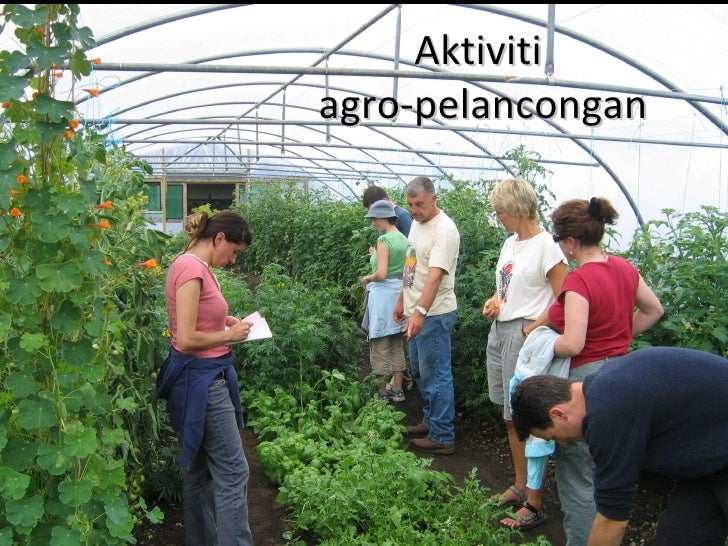 Agro Park Ver2 Agro Park Ver2