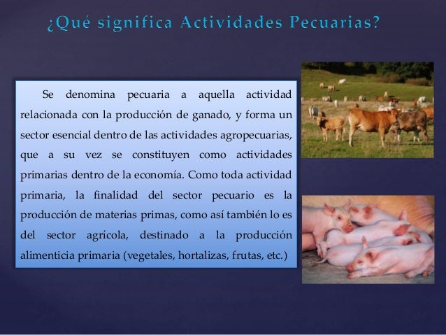 3 Palabras Relacionadas Con Actividades Pecuarias es.slideshare.net