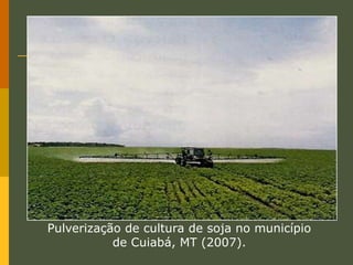 Agricultura comercialGeralmente são grandes plantações voltada para a exportação. Com a utilização de muita tecnologia no campo.Na agricultura comercial, é muito comum a prática da monocultura.O cultivo de um único produto em grandes extensões de terra.