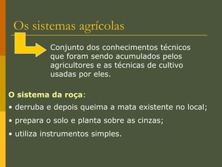 Pulverização de cultura de soja no município de Cuiabá, MT (2007).