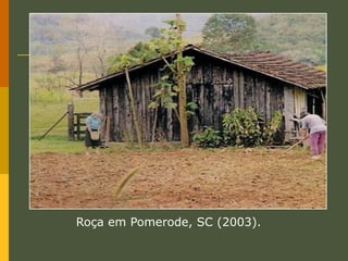 Os sistemas agrícolasConjunto dos conhecimentos técnicos que foram sendo acumulados pelos agricultores e as técnicas de cultivo usadas por eles.O sistema da roça: derruba e depois queima a mata existente no local;