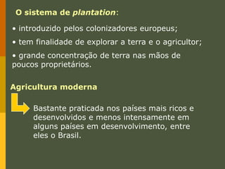  prepara o solo e planta sobre as cinzas;