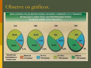 Criação extensiva de gado em Caarapó, MS.