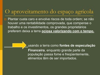 Pequeno proprietário: cultivam sua própria terra, para abastecer sua família.