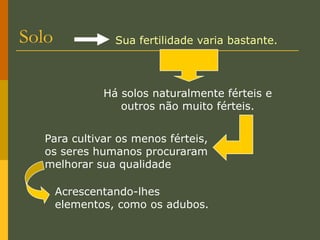  Pecuária: Criação de determinados rebanhos.A atividade agropecuária é dependente de alguns fatores  