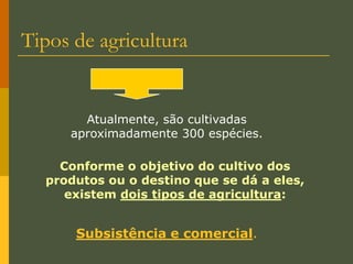 Técnica de plantação em curva de nível para controlar a erosão.