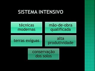 técnicas
modernas
mão-de-obra
qualificada
terras exíguas
alta
produtividade
conservação
dos solos
 