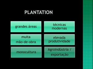 grandes áreas
técnicas
modernas
muita
mão-de-obra
elevada
produtividade
monocultura
Agroindústria /
exportação
 