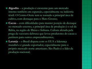  Algodão – a produção é crescente para um mercado
interno também em expansão, especialmente na indústria
têxtil. O Centro-Oeste tem se tornado a principal área de
cultivo, com destaque para o Mato Grosso;
 Cacau – com dificuldades para manter posição de destaque
no mercado externo, a principal área de produção é o sul da
Bahia, na região de Ilhéus e Itabuna. Cultura afetada pela
praga da vassoura-debruxa que levou produtores do cacau a
partirem para outros empreendimentos;
 Laranja – o Brasil disputa com os EUA a liderança
mundial e é grande exportador, especialmente para o
próprio mercado norte-americano. São Paulo é o líder da
produção nacional;
 