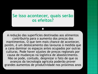Se isso acontecer, quais serão
os efeitos?
A redução das superfícies destinadas aos alimentos
contribuiria para o aumento dos preços dos
mantimentos. O que tem mais chance de acontecer,
porém, é um deslocamento das lavouras à medida que
a cana dominar os espaços antes ocupados por outras
culturas. Pode haver ajustes de preços regionais por
causa de mudanças na logística de abastecimento.
Não se pode, contudo, desprezar o fato de que os
avanços da tecnologia agrícola poderão prover
grandes aumentos de produtividade nos próximos anos
 