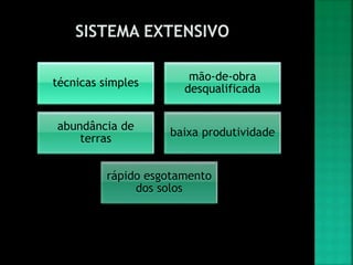 técnicas simples
mão-de-obra
desqualificada
abundância de
terras
baixa produtividade
rápido esgotamento
dos solos
 