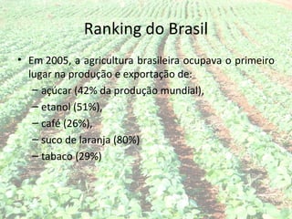 Ranking do Brasil
• Em 2005, a agricultura brasileira ocupava o primeiro
  lugar na produção e exportação de:
   – açúcar (42% da produção mundial),
   – etanol (51%),
   – café (26%),
   – suco de laranja (80%)
   – tabaco (29%)
 