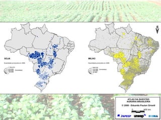 Agropecuária brasileira 