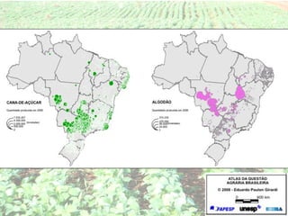 Agropecuária brasileira 