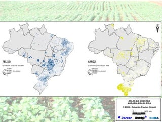Agropecuária brasileira 
