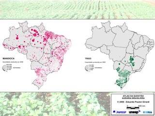 Agropecuária brasileira 