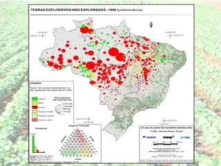 Agropecuária brasileira 