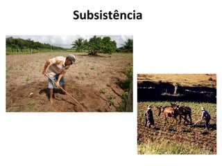 Subsistência
 