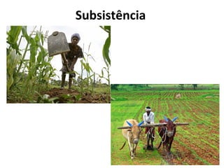 Subsistência
 