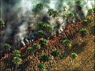 Agropecuária brasileira 