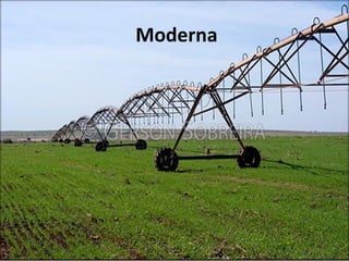 Moderna
 