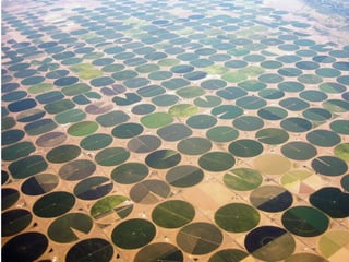 Agropecuária brasileira 