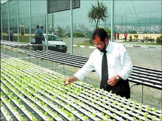 Agropecuária brasileira 