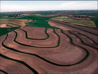Agropecuária brasileira 