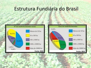 Estrutura Fundiária do Brasil
 